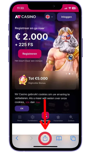 Delen Nvcasino